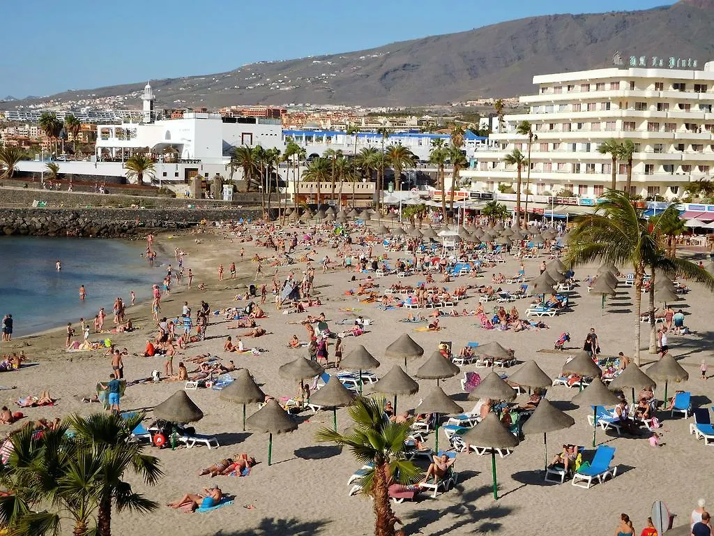 Ferienwohnung Windsor Park Adeje  Costa Adeje (Tenerife)